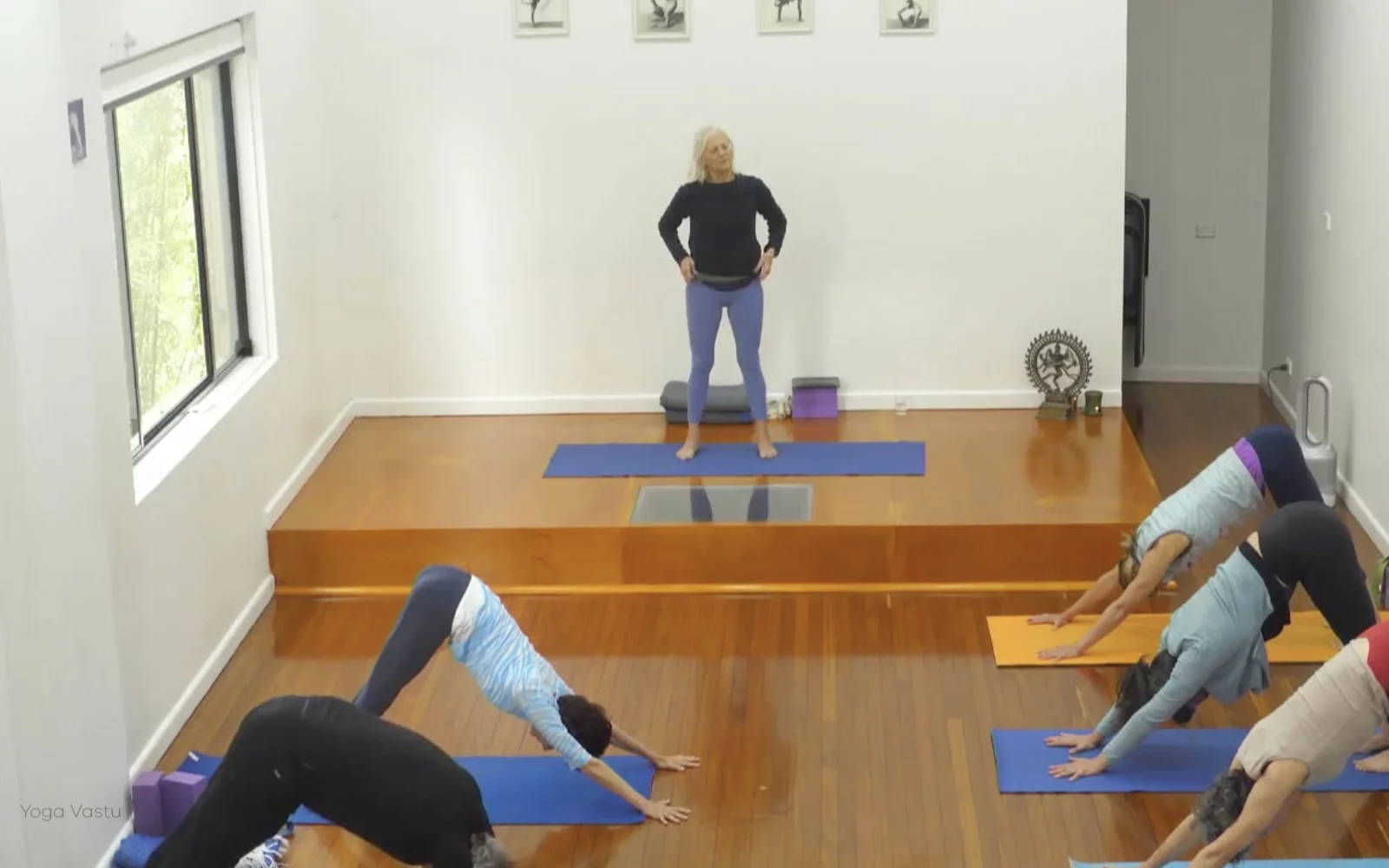 Online Iyengar yoga videos | Advanced Class 2: Finding your Center in Backbends and Inversions