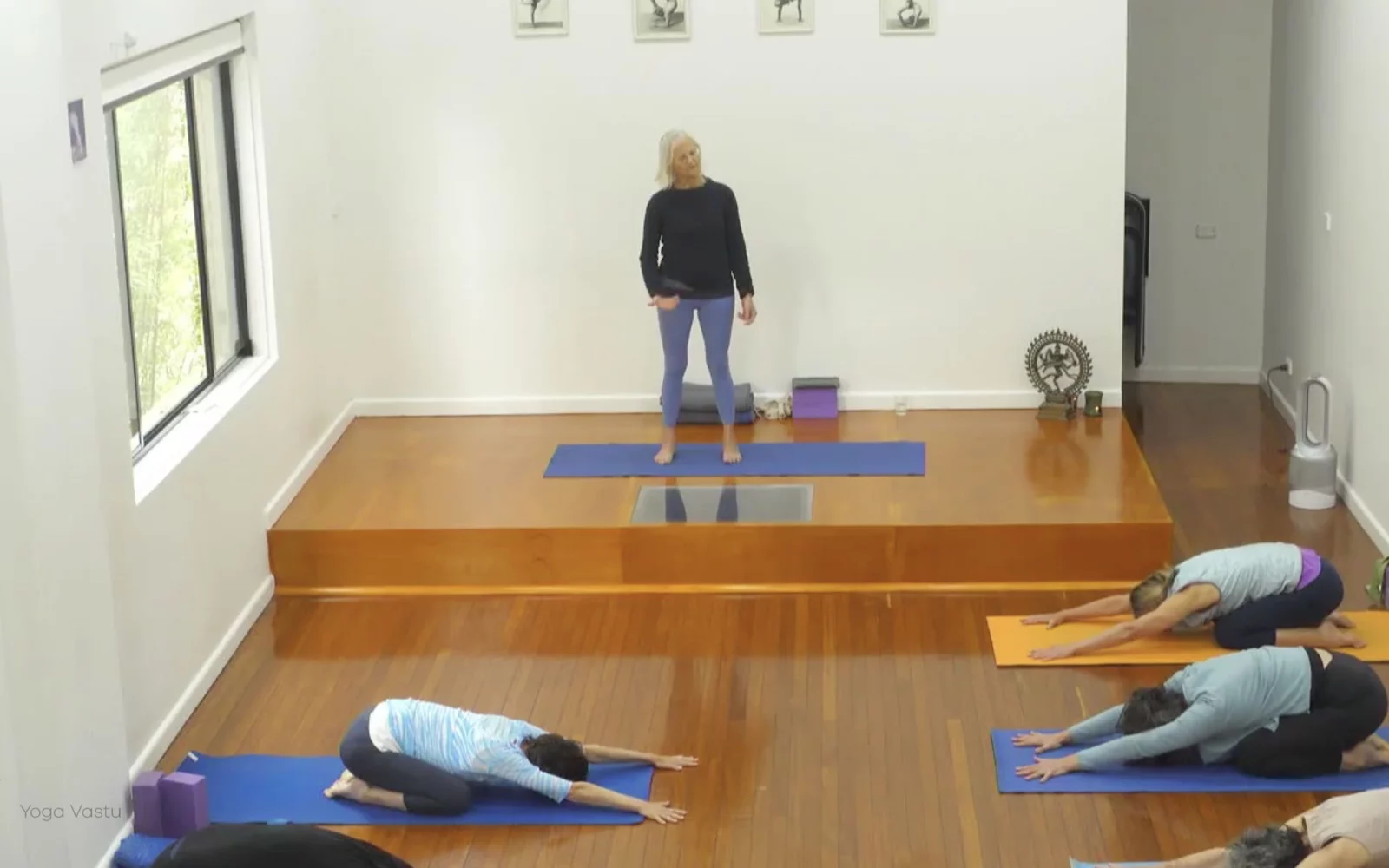 Online Iyengar yoga videos | Advanced Class 2: Finding your Center in Backbends and Inversions