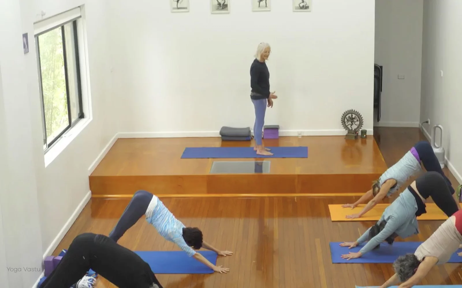 Online Iyengar yoga videos | Advanced Class 2: Finding your Center in Backbends and Inversions