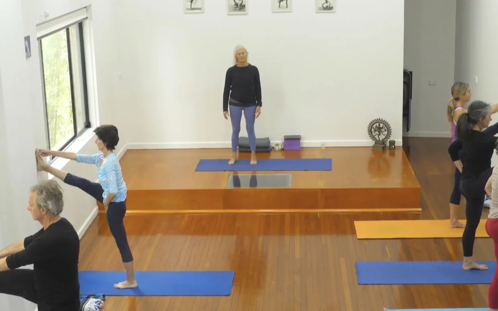 Online Iyengar yoga videos | Advanced Class 2: Finding your Center in Backbends and Inversions