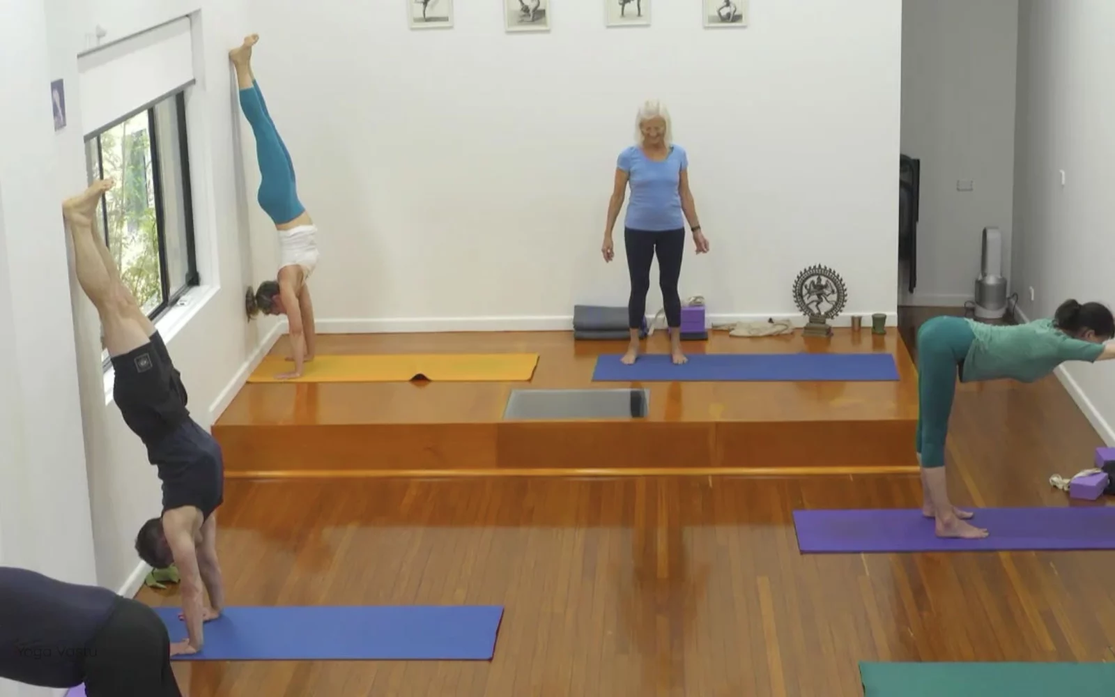 Online Iyengar yoga videos | Class 5: Shoulder-Opening in Forward Bends