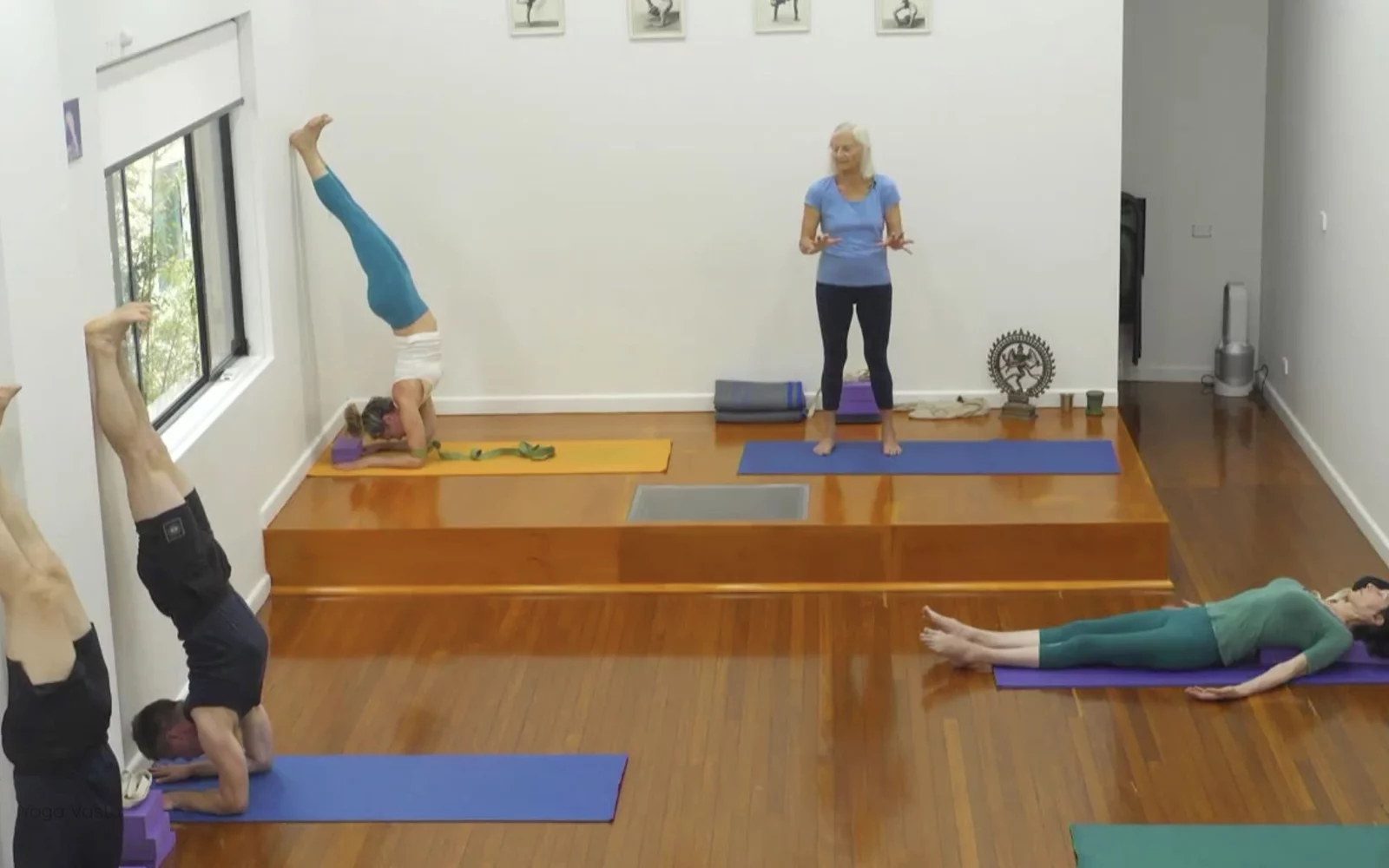 Online Iyengar yoga videos | Class 5: Shoulder-Opening in Forward Bends