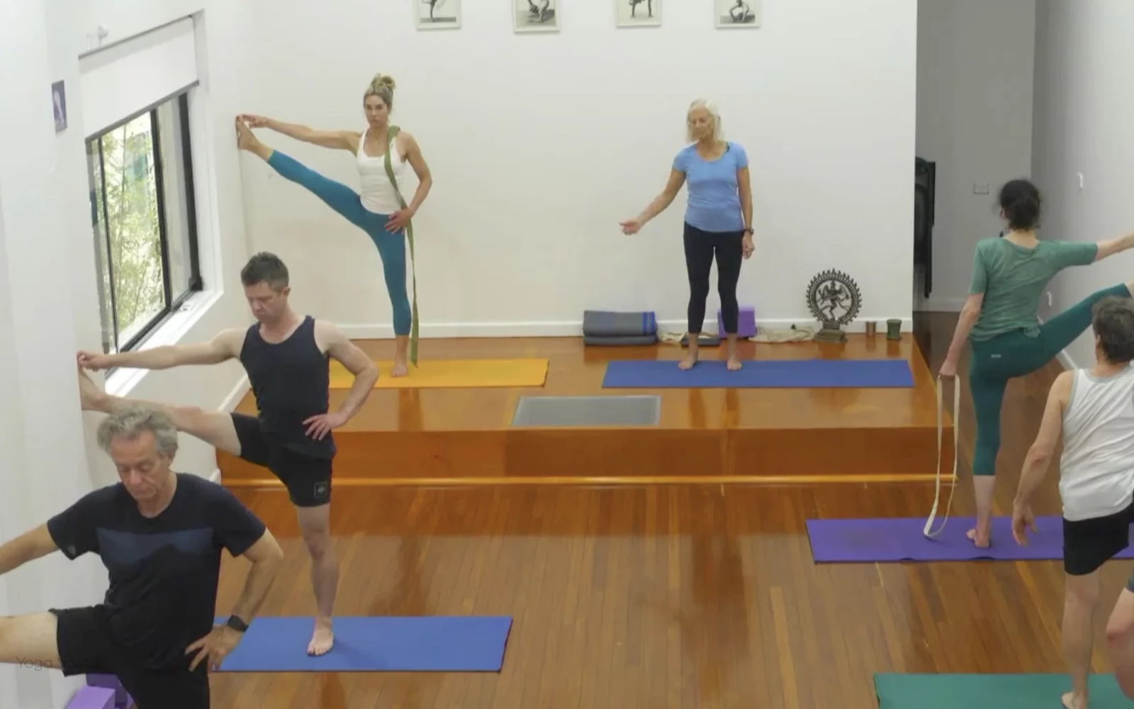 Online Iyengar yoga videos | Class 5: Shoulder-Opening in Forward Bends