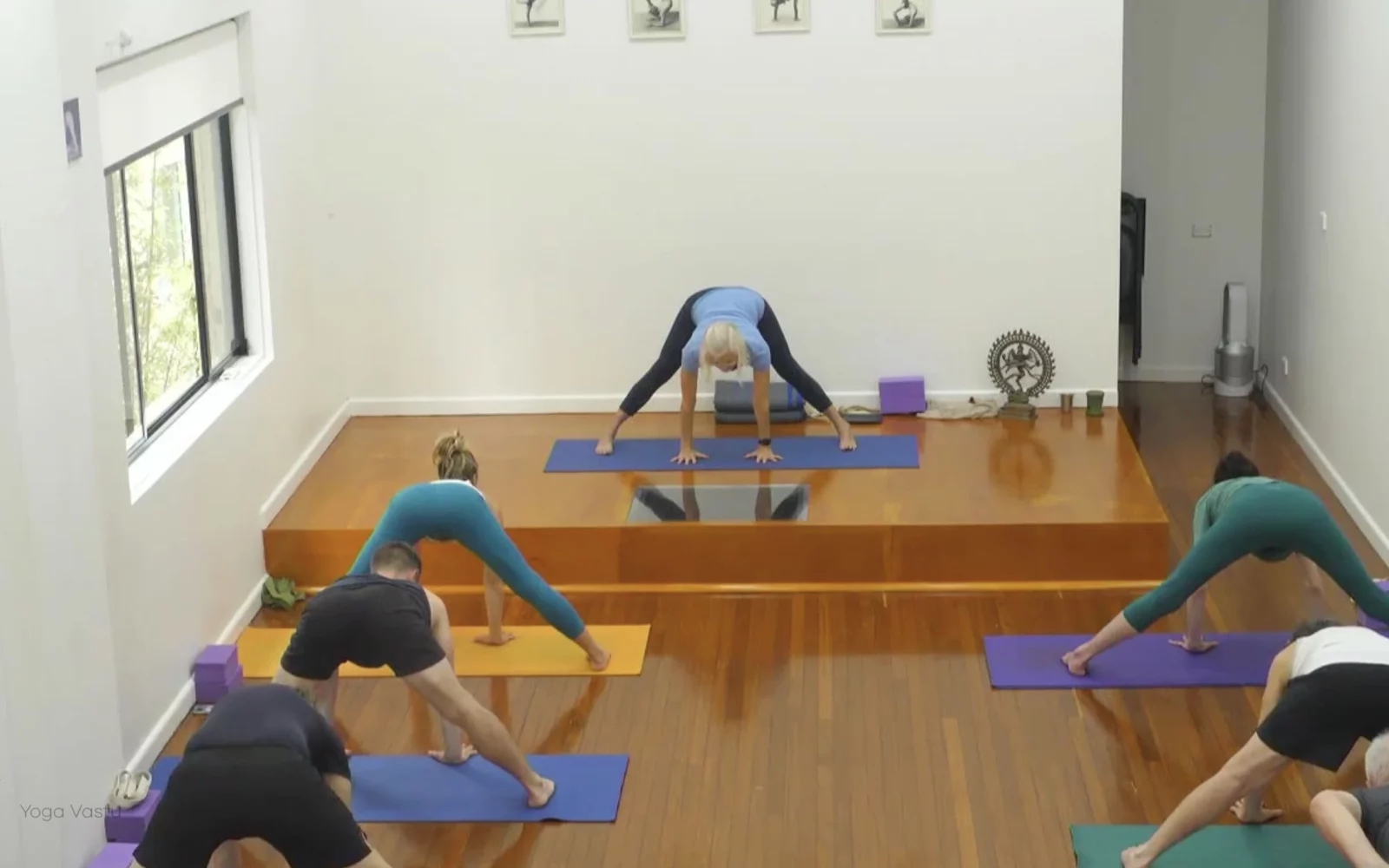 Online Iyengar yoga videos | Class 5: Shoulder-Opening in Forward Bends
