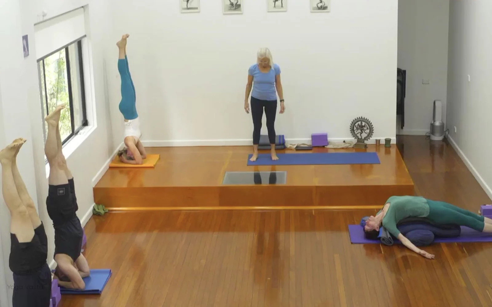 Online Iyengar yoga videos | Class 5: Shoulder-Opening in Forward Bends