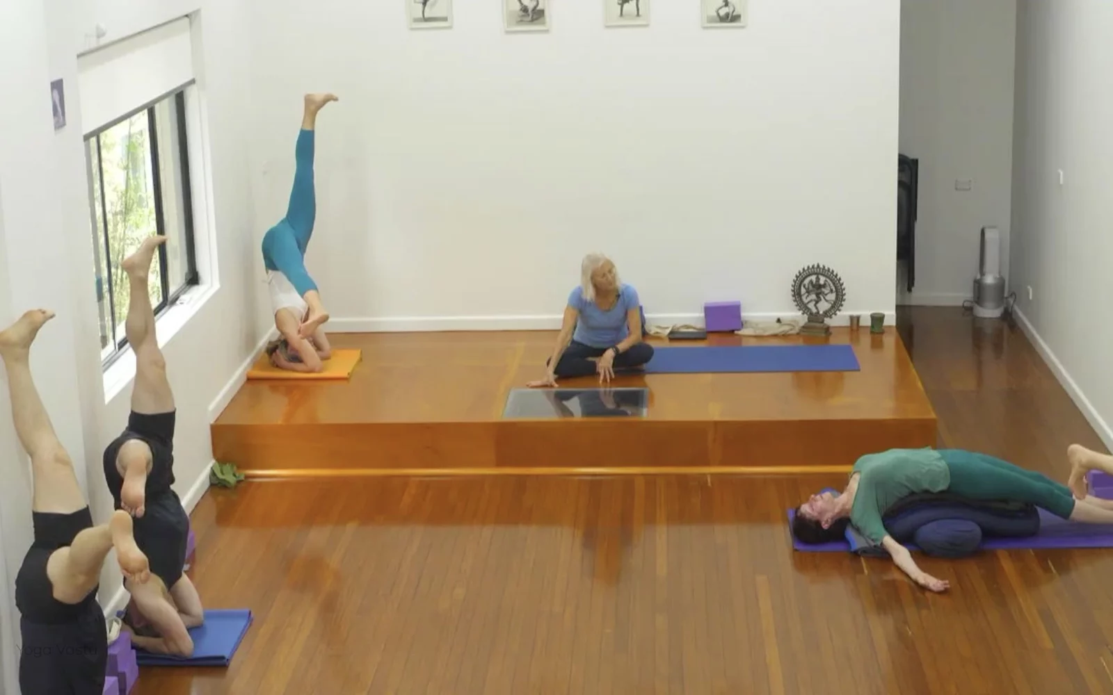 Online Iyengar yoga videos | Class 5: Shoulder-Opening in Forward Bends