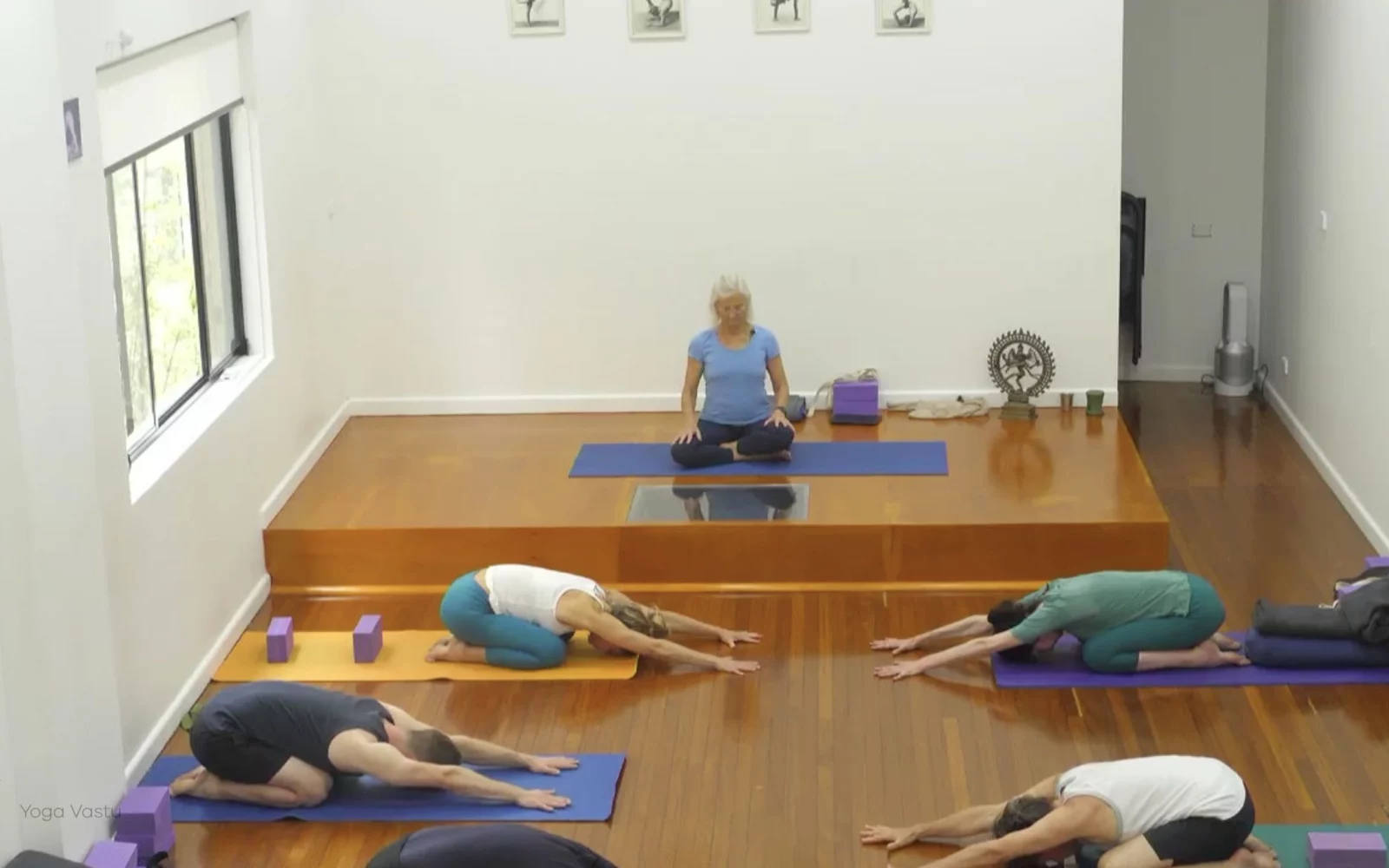 Online Iyengar yoga videos | Class 5: Shoulder-Opening in Forward Bends