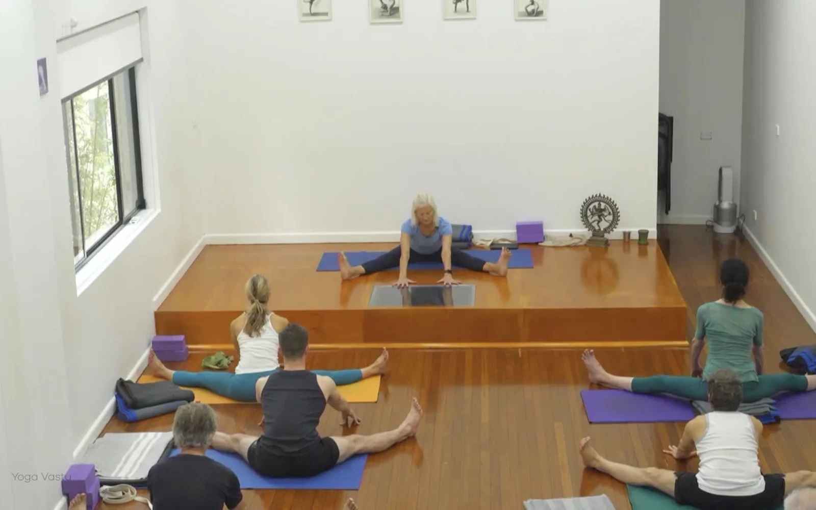 Online Iyengar yoga videos | Class 5: Shoulder-Opening in Forward Bends