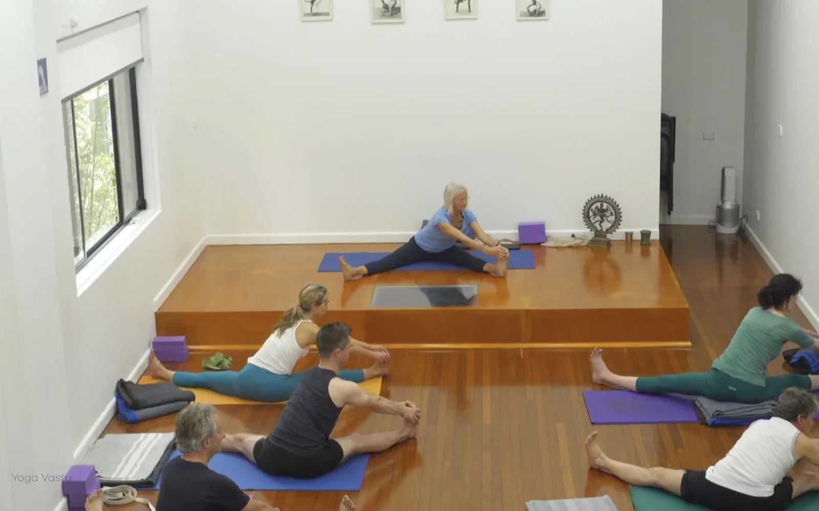 Online Iyengar yoga videos | Class 5: Shoulder-Opening in Forward Bends