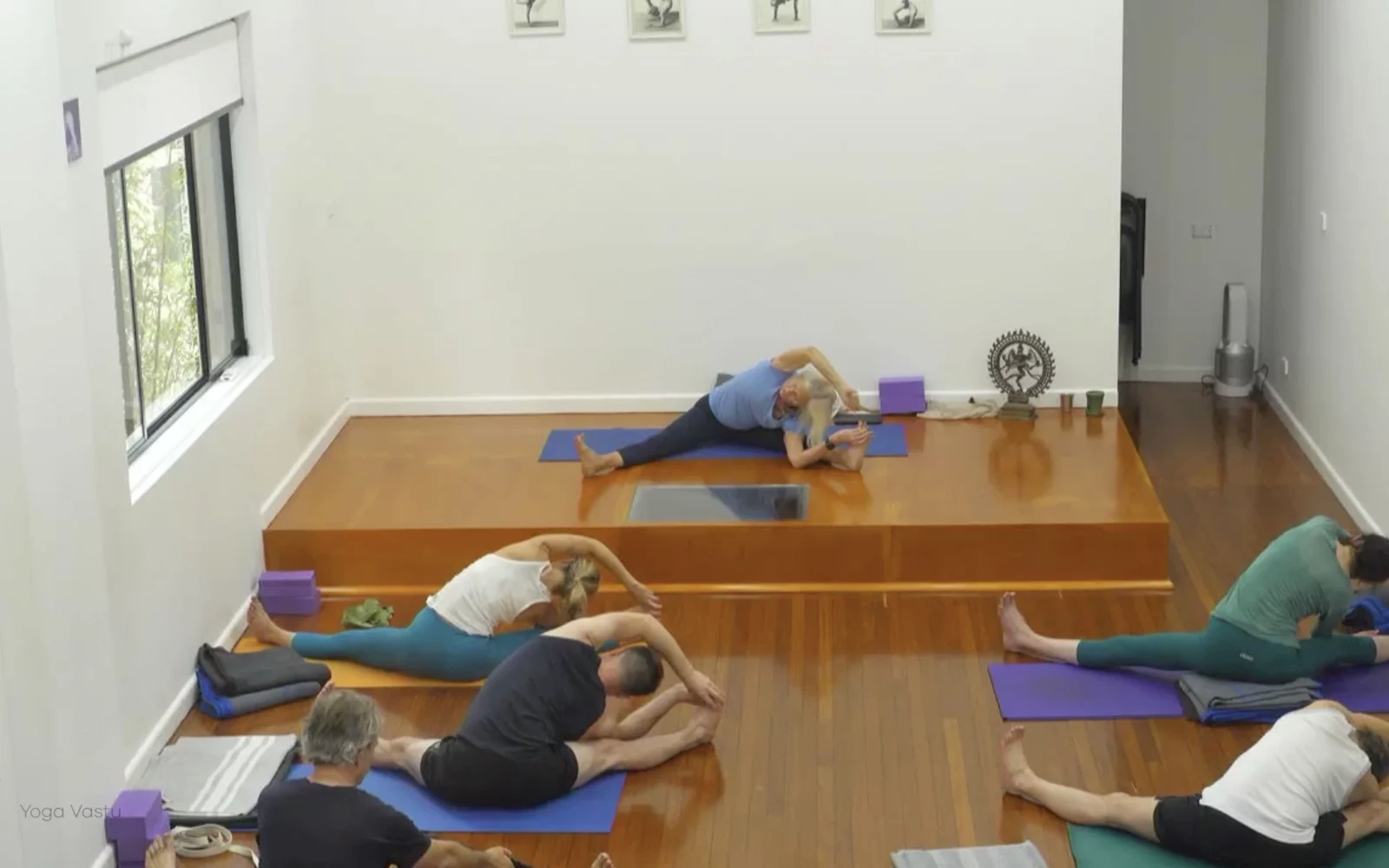 Online Iyengar yoga videos | Class 5: Shoulder-Opening in Forward Bends