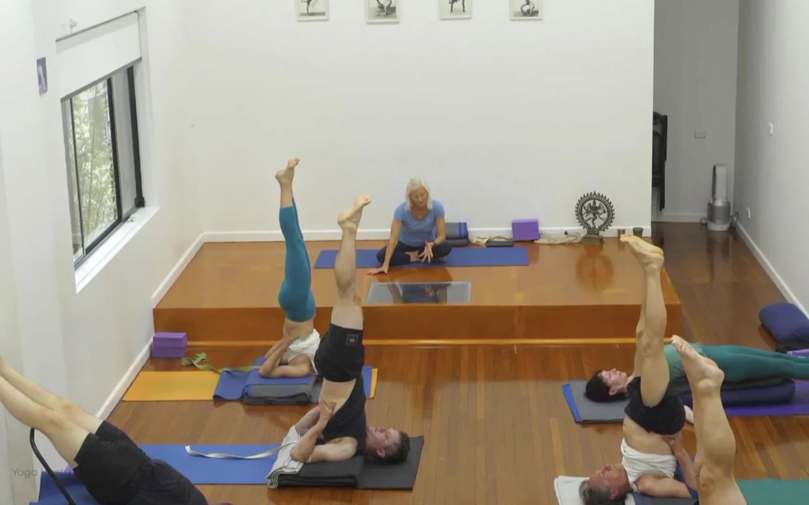 Online Iyengar yoga videos | Class 5: Shoulder-Opening in Forward Bends