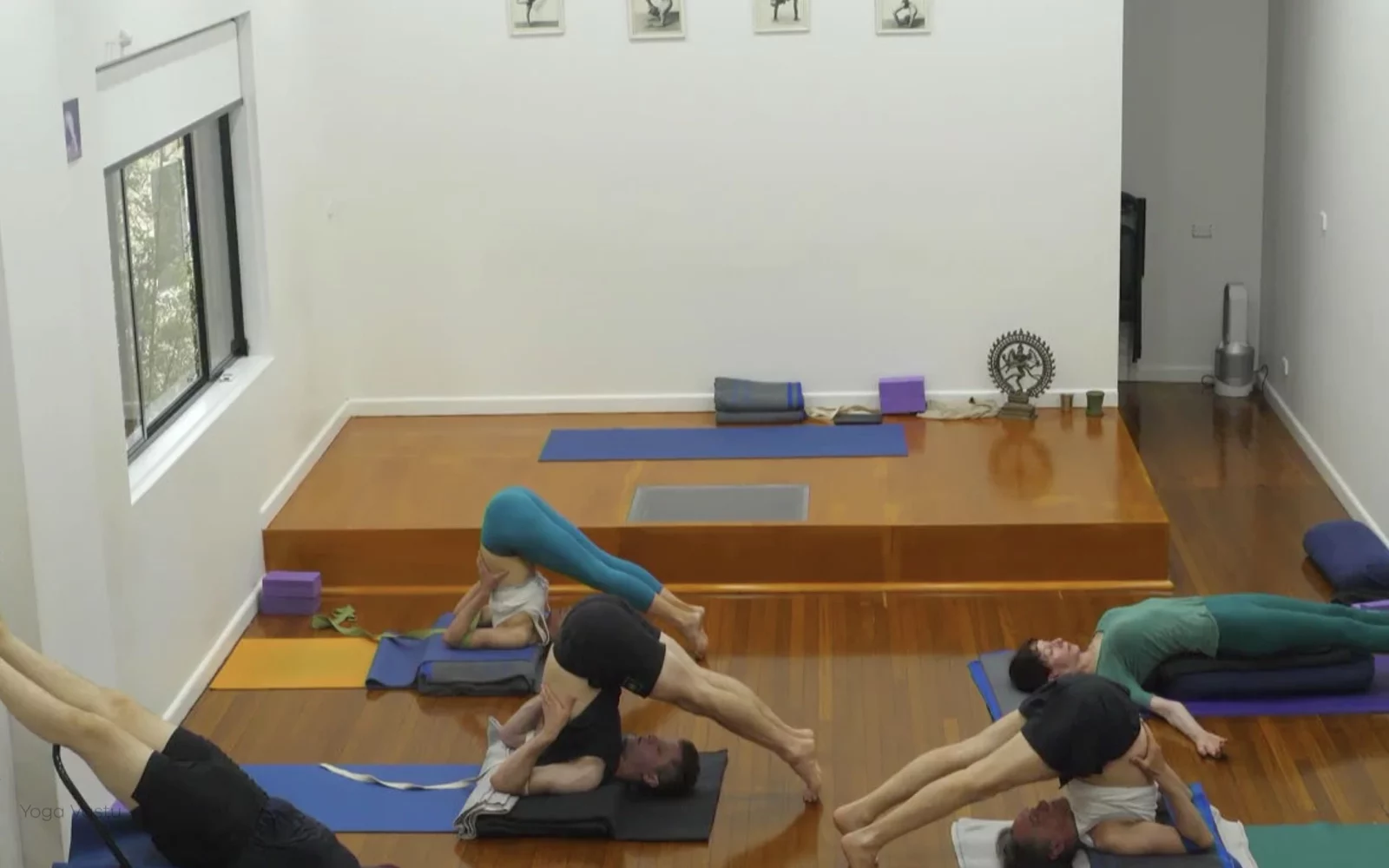 Online Iyengar yoga videos | Class 5: Shoulder-Opening in Forward Bends