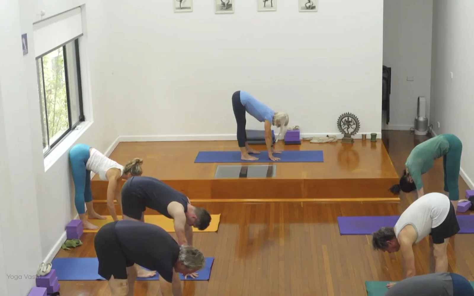 Online Iyengar yoga videos | Class 5: Shoulder-Opening in Forward Bends