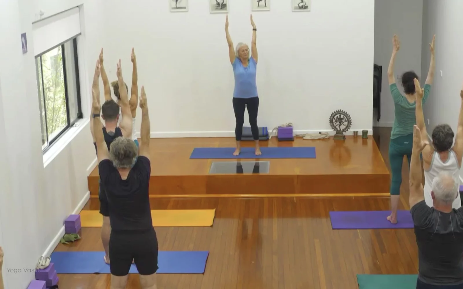 Online Iyengar yoga videos | Class 5: Shoulder-Opening in Forward Bends