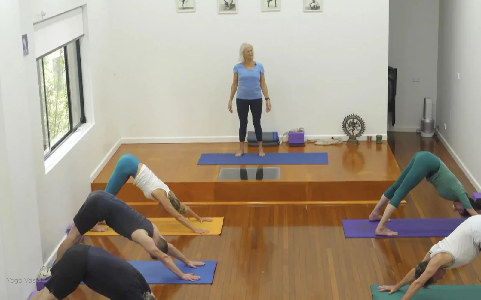 Online Iyengar yoga videos | Class 5: Shoulder-Opening in Forward Bends