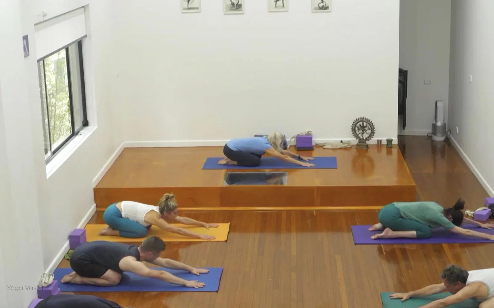 Online Iyengar yoga videos | Class 5: Shoulder-Opening in Forward Bends