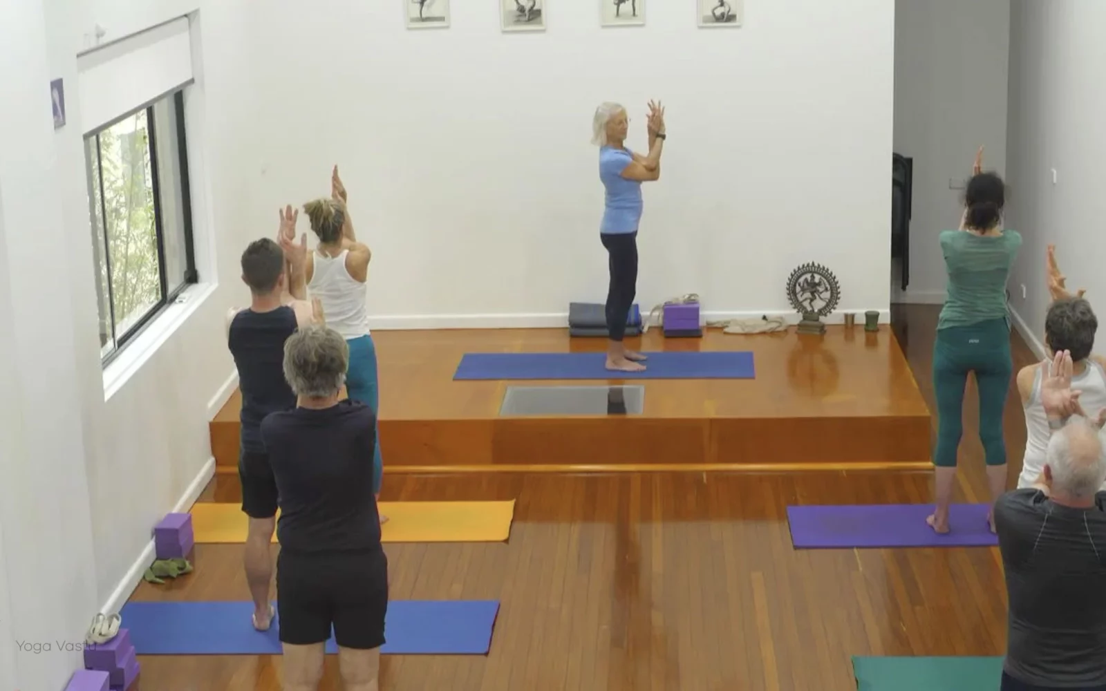 Online Iyengar yoga videos | Class 5: Shoulder-Opening in Forward Bends