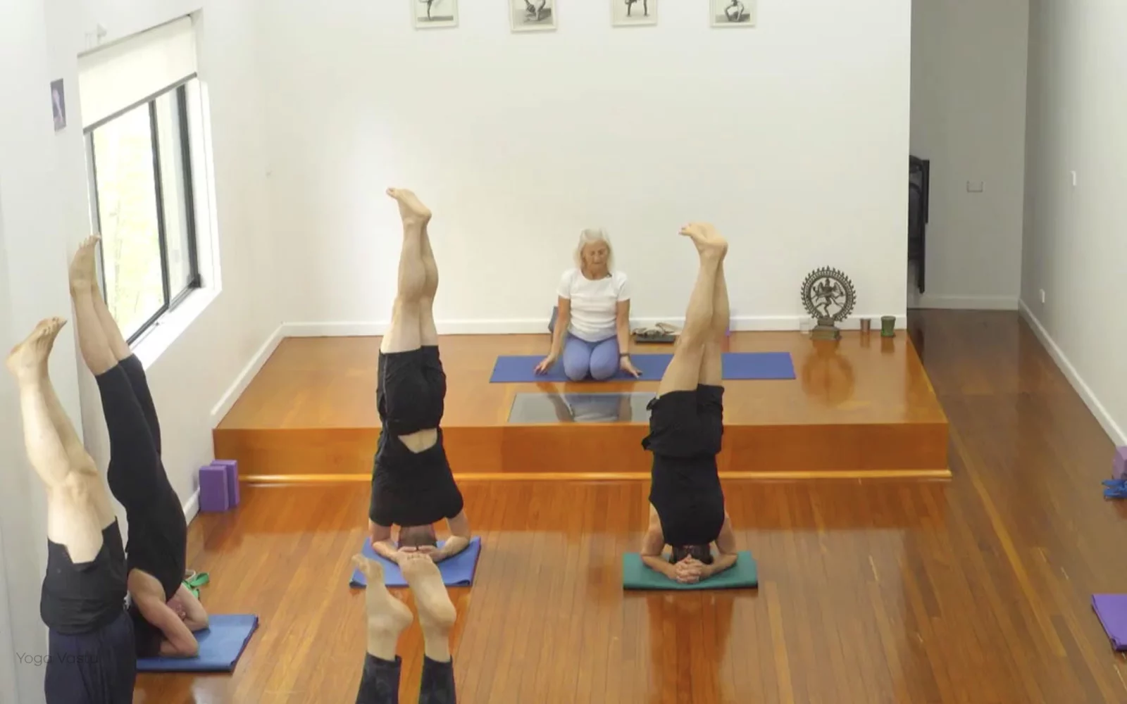 Online Iyengar yoga videos | Class 6: The Role of Collarbones in Our Practice