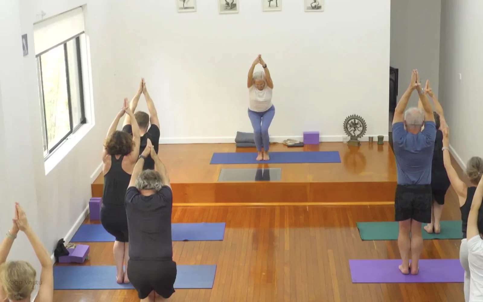 Online Iyengar yoga videos | Class 6: The Role of Collarbones in Our Practice