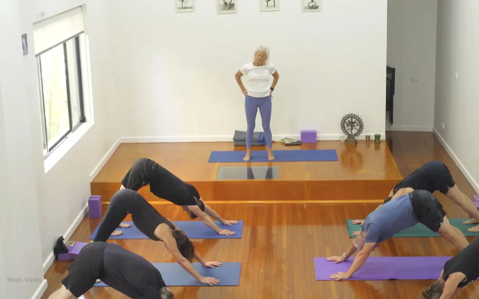Online Iyengar yoga videos | Class 6: The Role of Collarbones in Our Practice