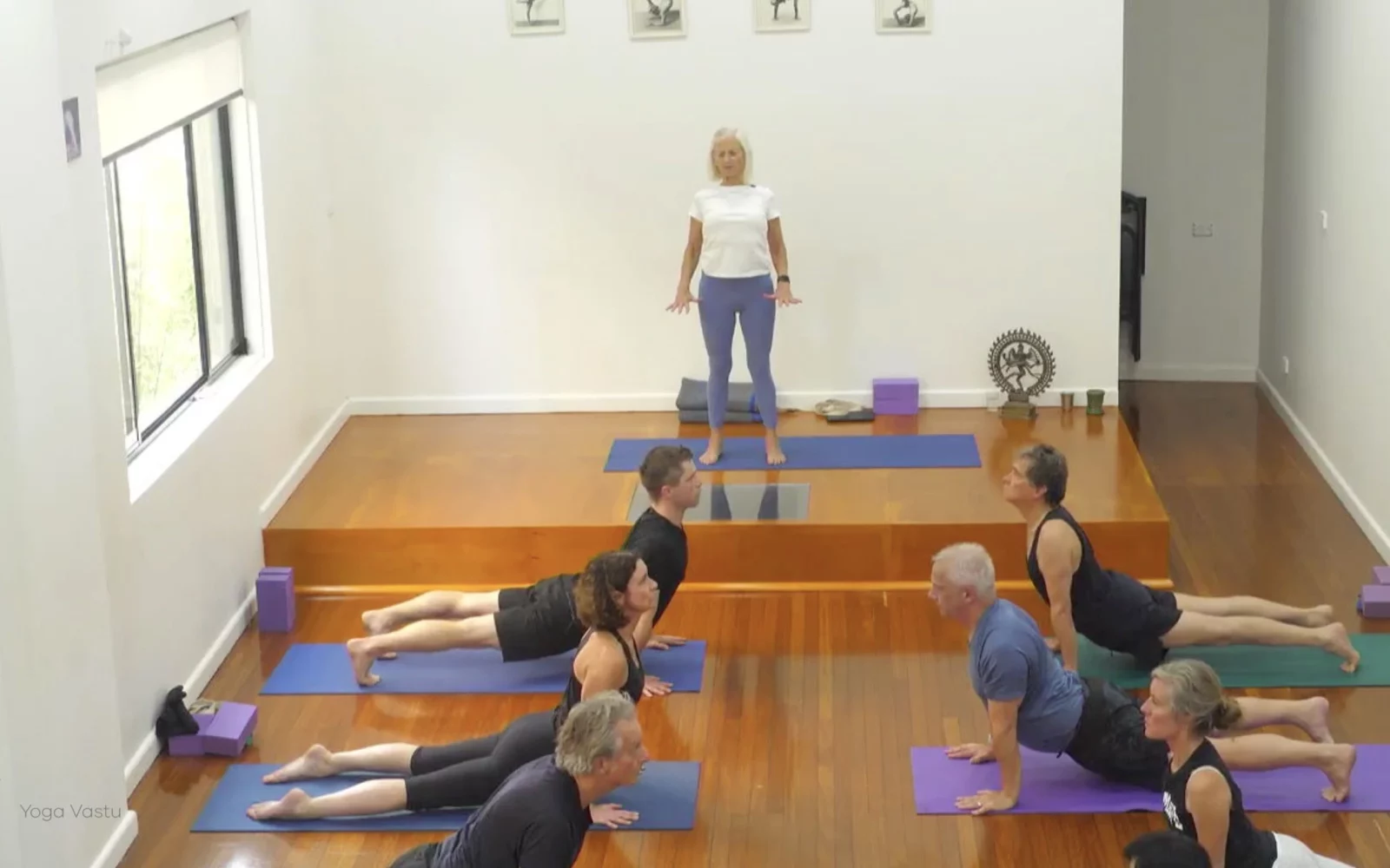Online Iyengar yoga videos | Class 6: The Role of Collarbones in Our Practice