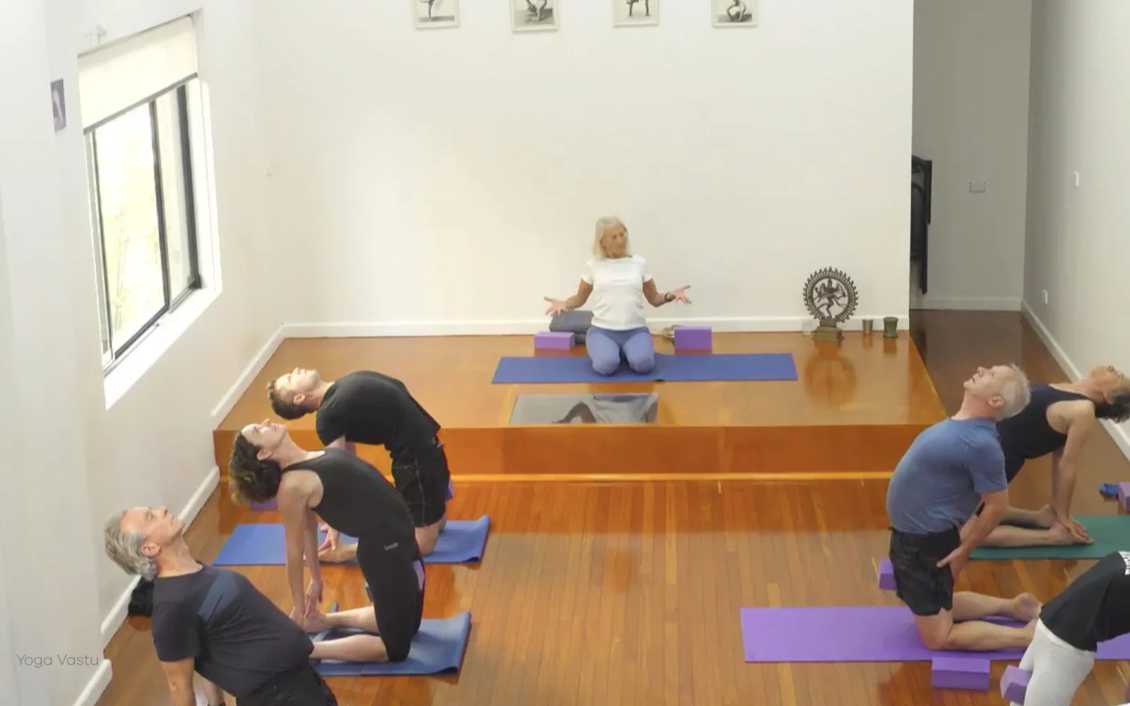 Online Iyengar yoga videos | Class 6: The Role of Collarbones in Our Practice