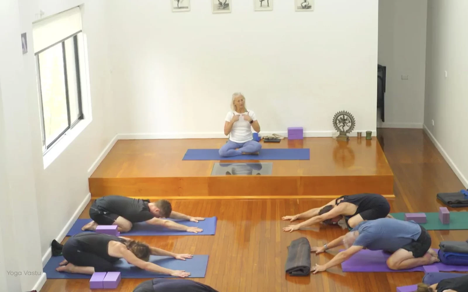 Online Iyengar yoga videos | Class 6: The Role of Collarbones in Our Practice