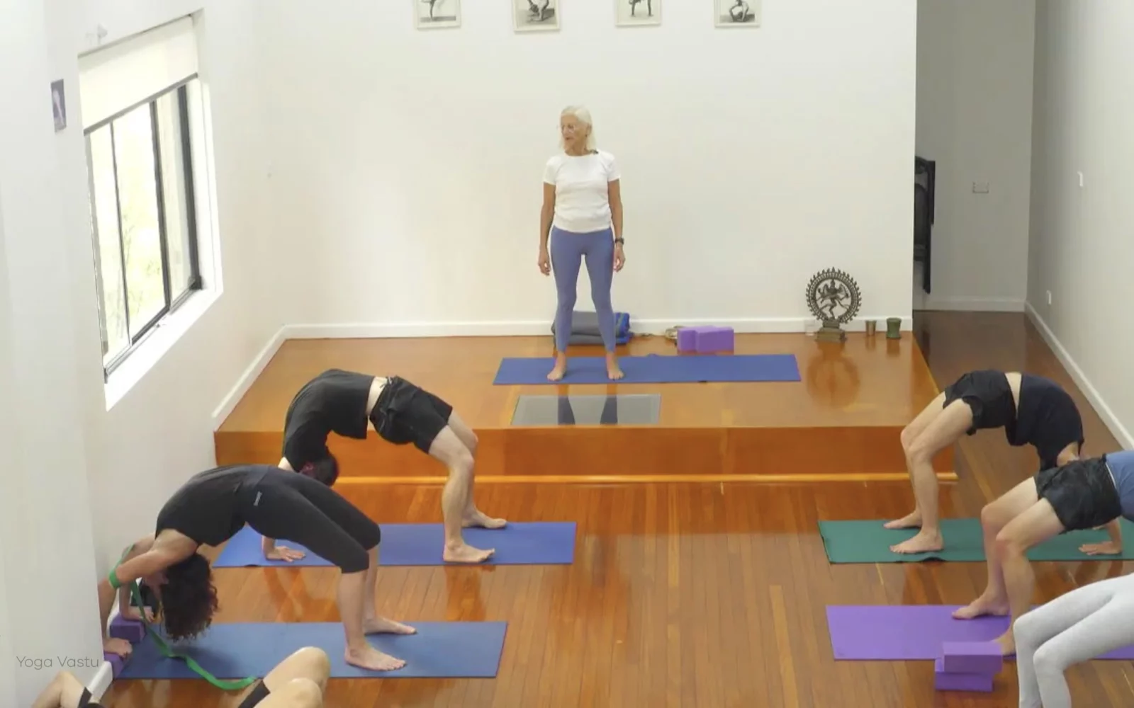 Online Iyengar yoga videos | Class 6: The Role of Collarbones in Our Practice
