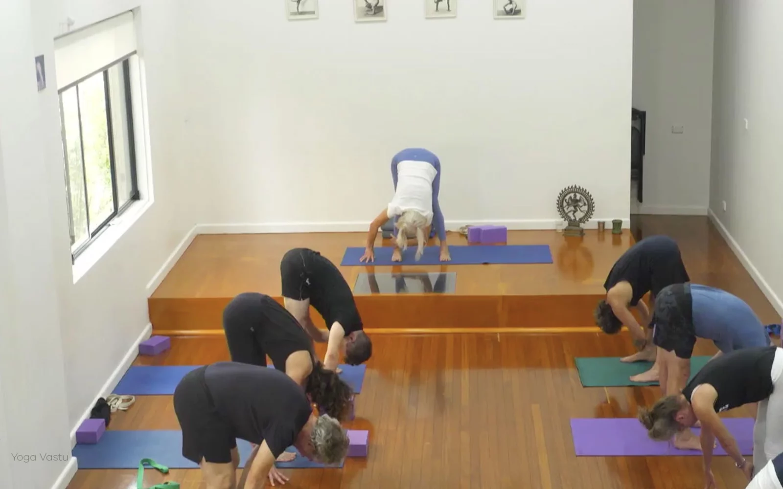Online Iyengar yoga videos | Class 6: The Role of Collarbones in Our Practice