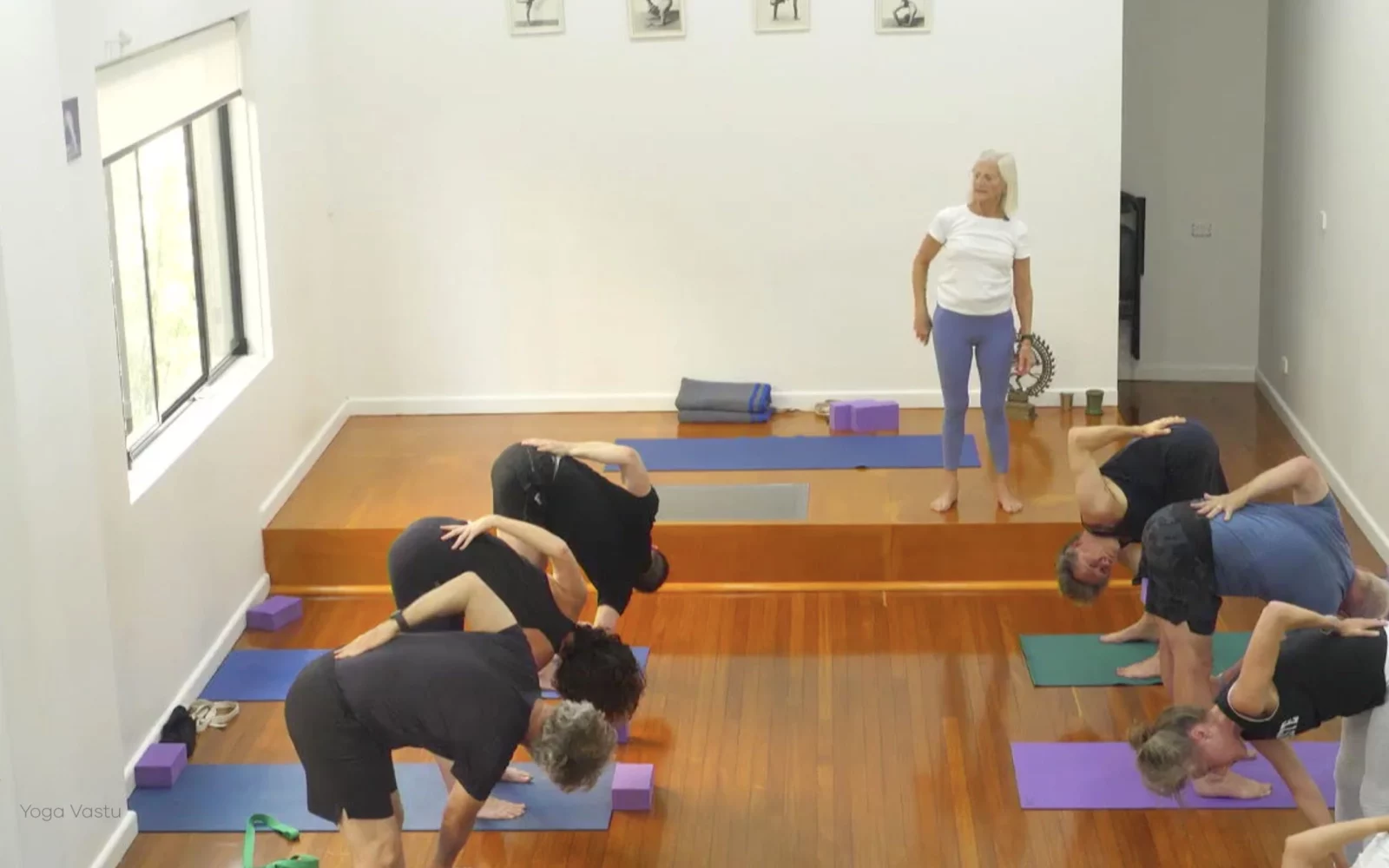 Online Iyengar yoga videos | Class 6: The Role of Collarbones in Our Practice