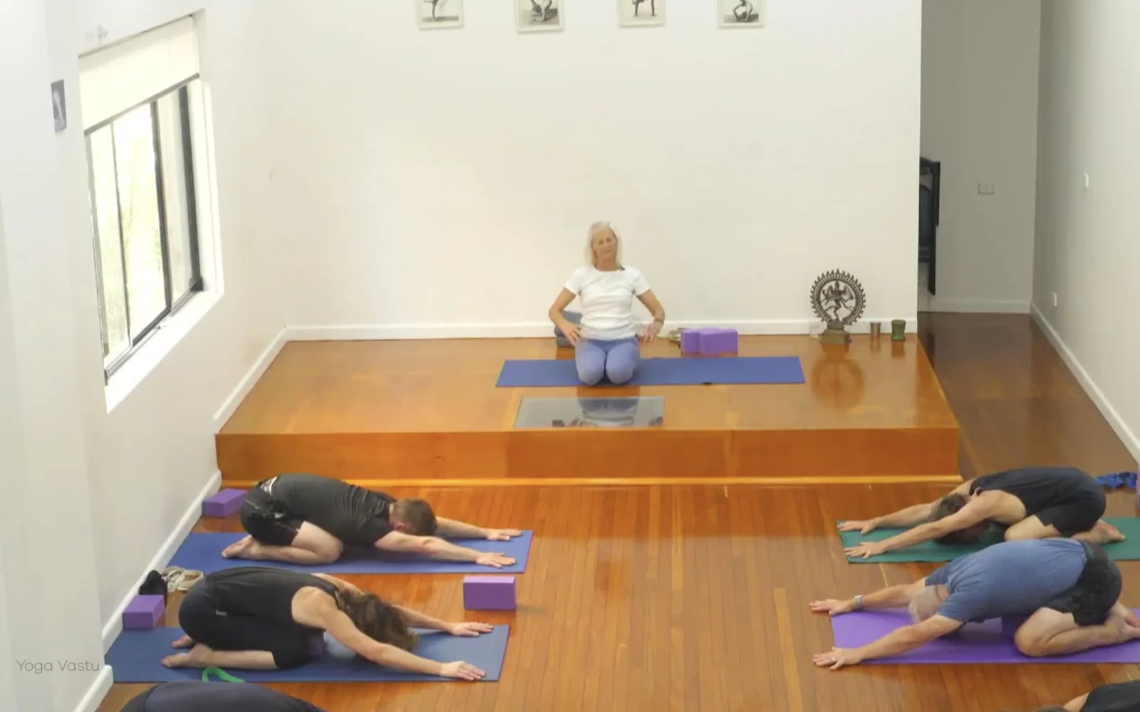 Online Iyengar yoga videos | Class 6: The Role of Collarbones in Our Practice