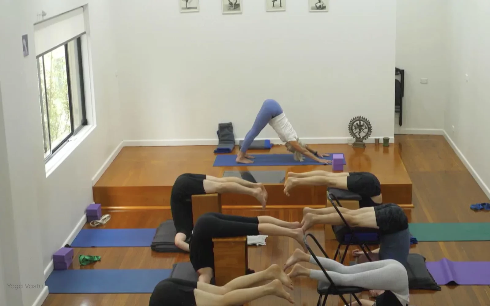 Online Iyengar yoga videos | Class 6: The Role of Collarbones in Our Practice