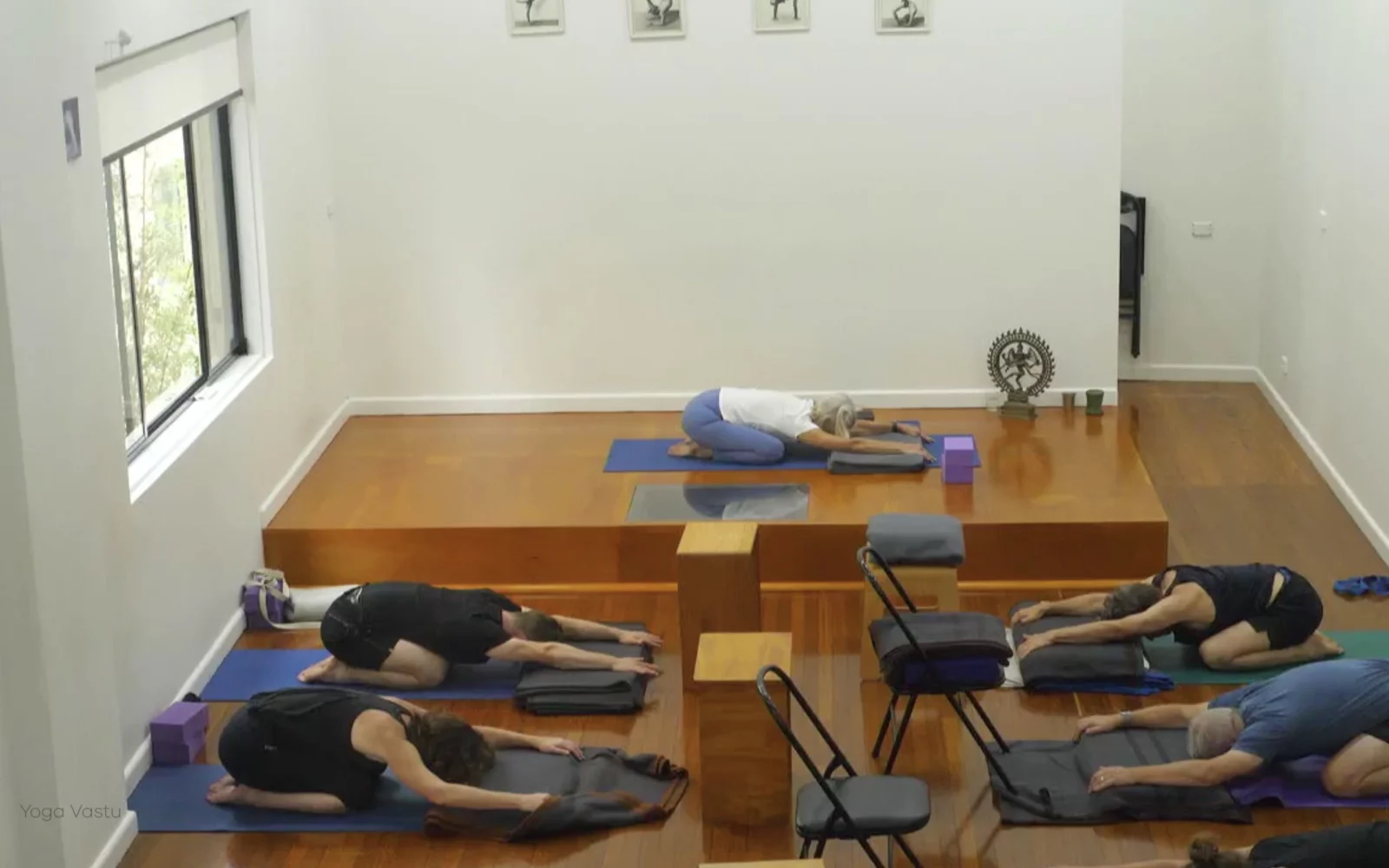 Online Iyengar yoga videos | Class 6: The Role of Collarbones in Our Practice