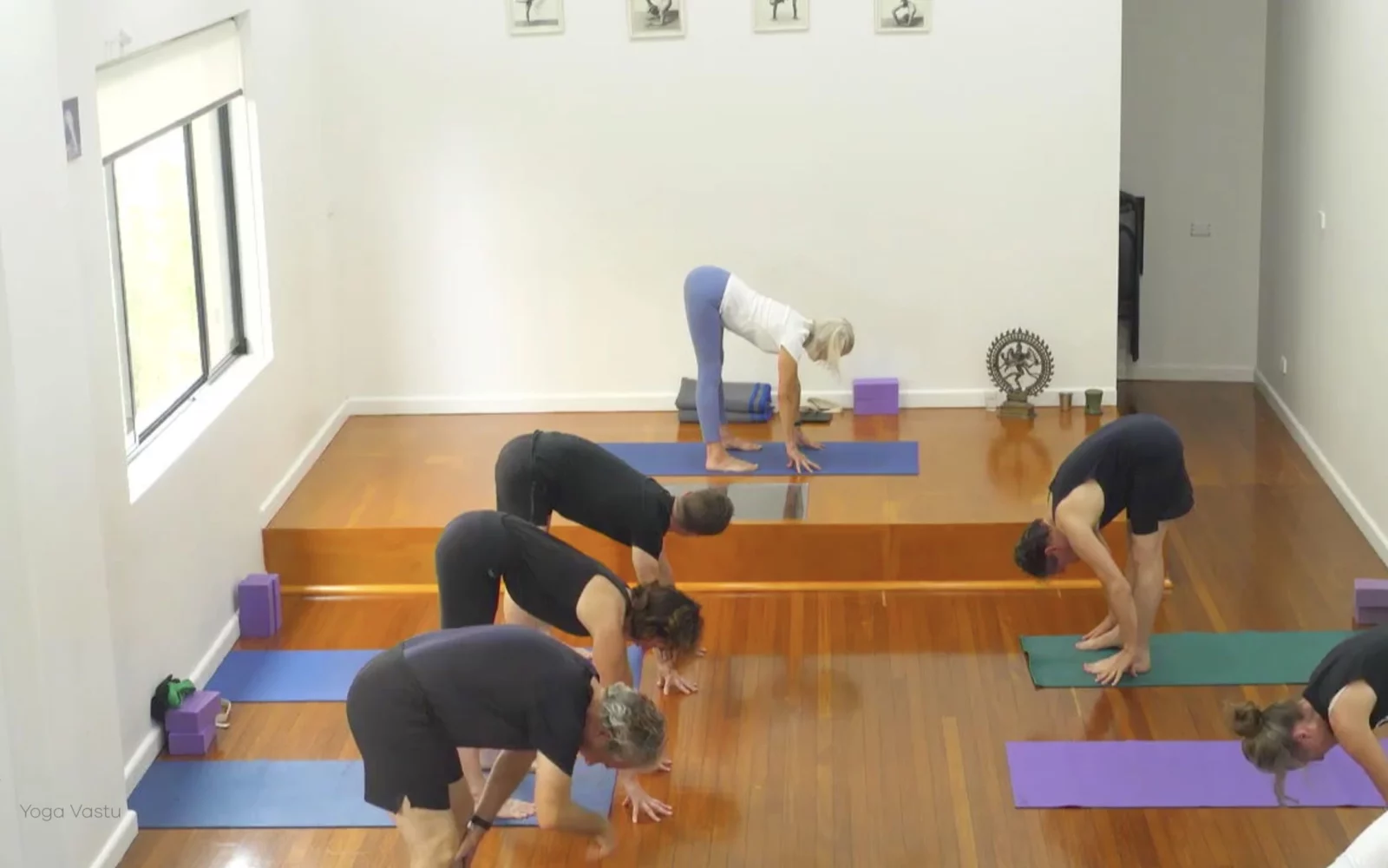 Online Iyengar yoga videos | Class 6: The Role of Collarbones in Our Practice