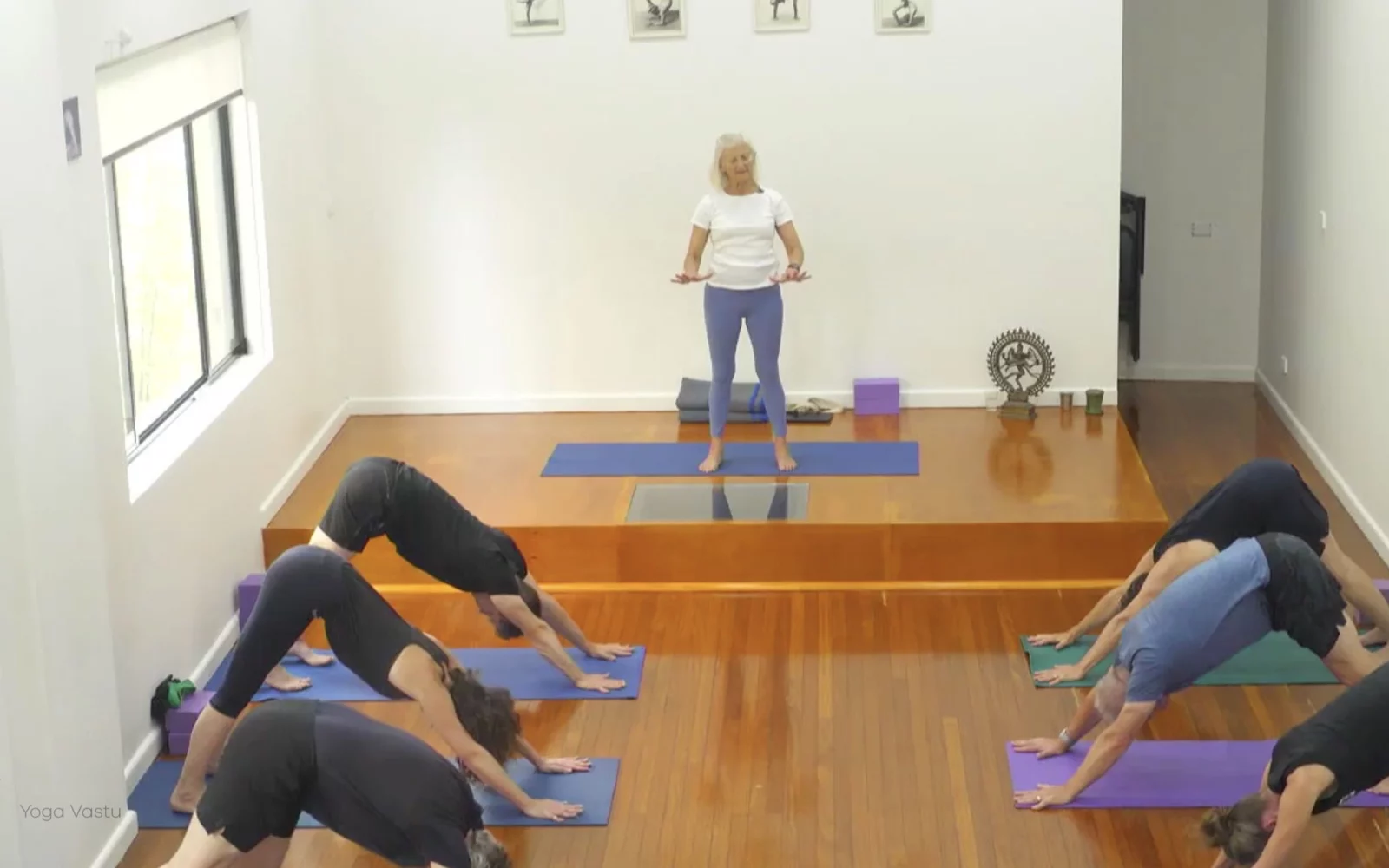 Online Iyengar yoga videos | Class 6: The Role of Collarbones in Our Practice