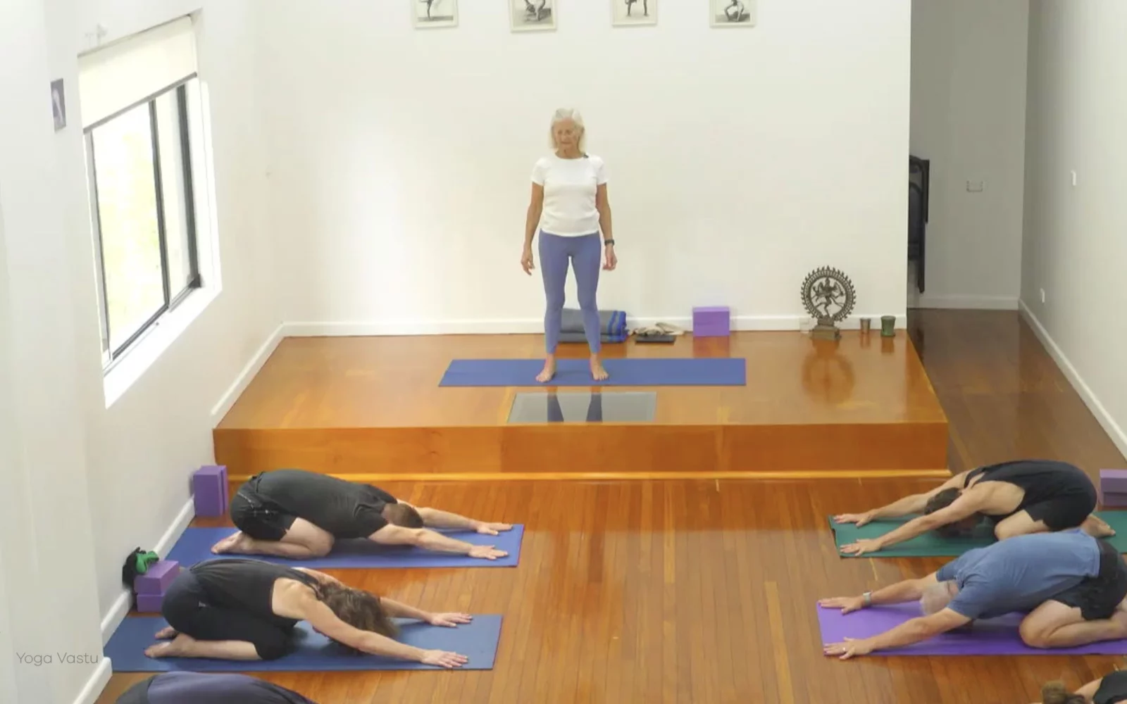 Online Iyengar yoga videos | Class 6: The Role of Collarbones in Our Practice