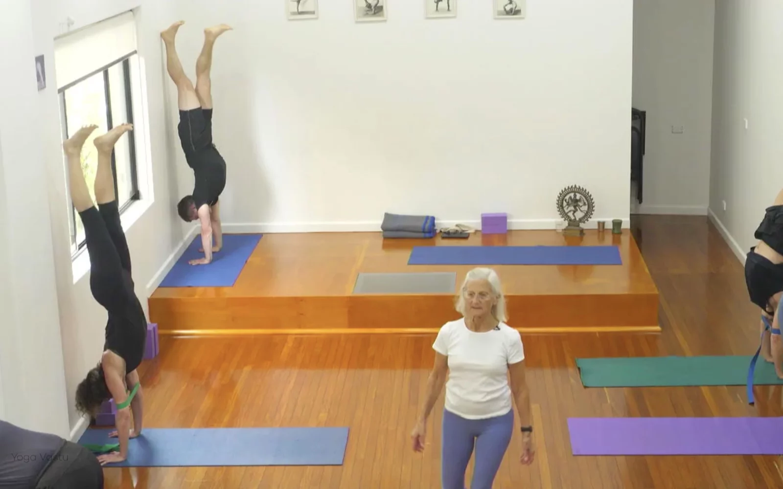 Online Iyengar yoga videos | Class 6: The Role of Collarbones in Our Practice
