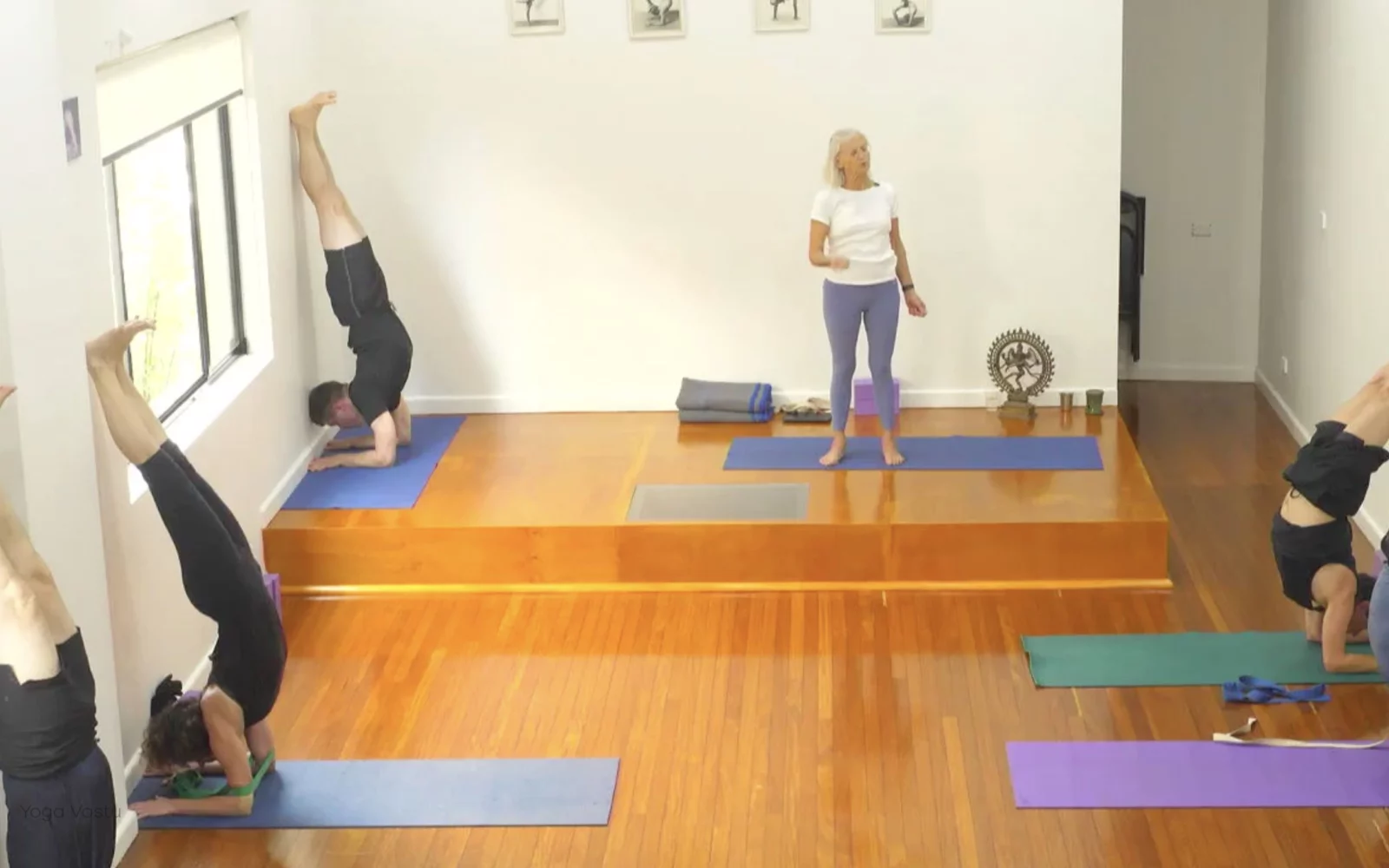Online Iyengar yoga videos | Class 6: The Role of Collarbones in Our Practice