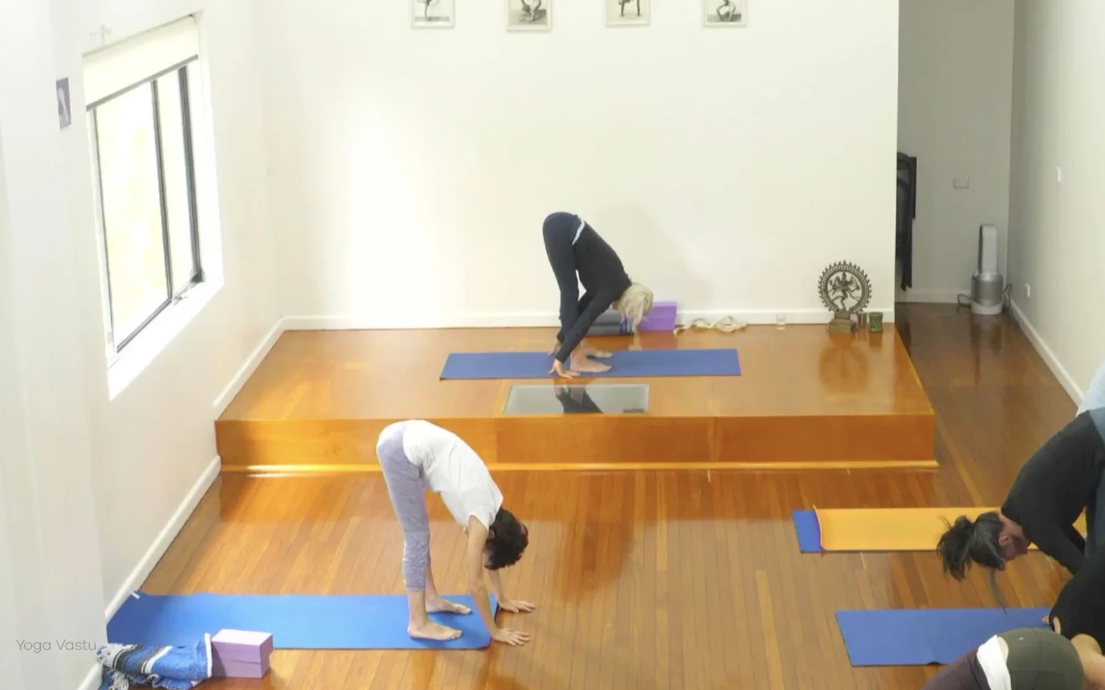 Online Iyengar yoga videos | Advanced Class 4: Listening to the Responses in the Body
