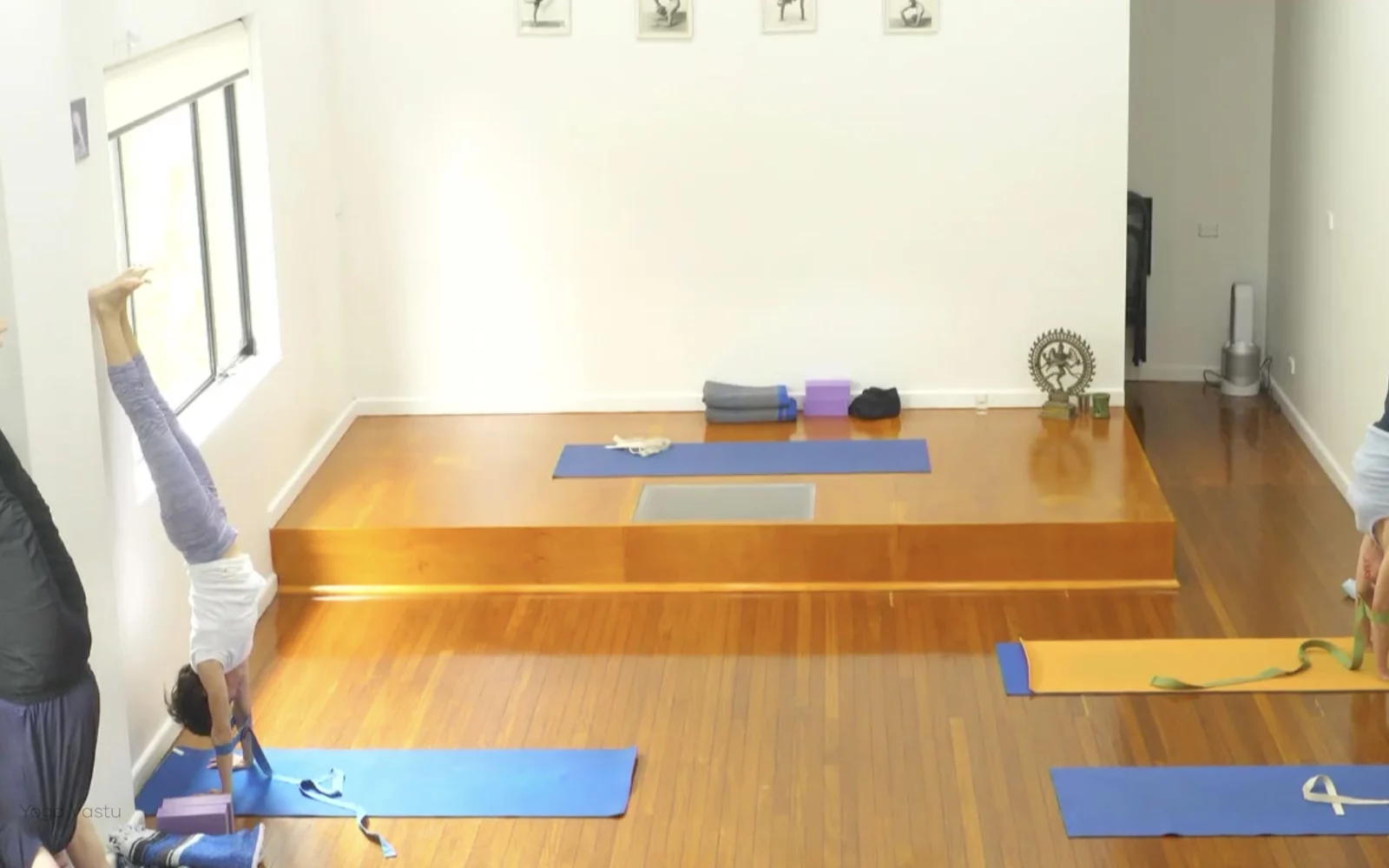 Online Iyengar yoga videos | Advanced Class 4: Listening to the Responses in the Body
