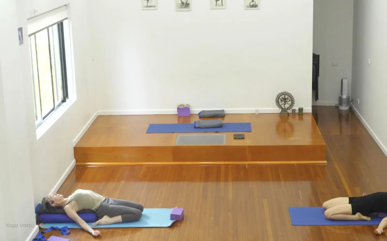 Online Iyengar yoga videos | Advanced Class 5: Practising Basic Actions in Standing Poses