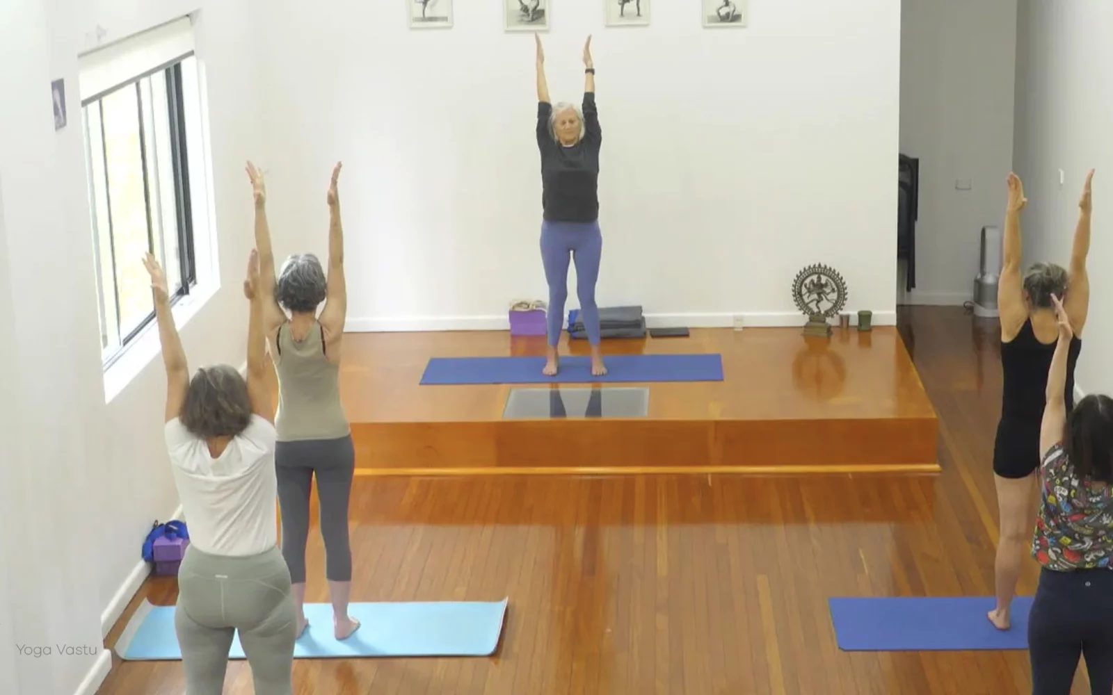 Online Iyengar yoga videos | Advanced Class 5: Practising Basic Actions in Standing Poses