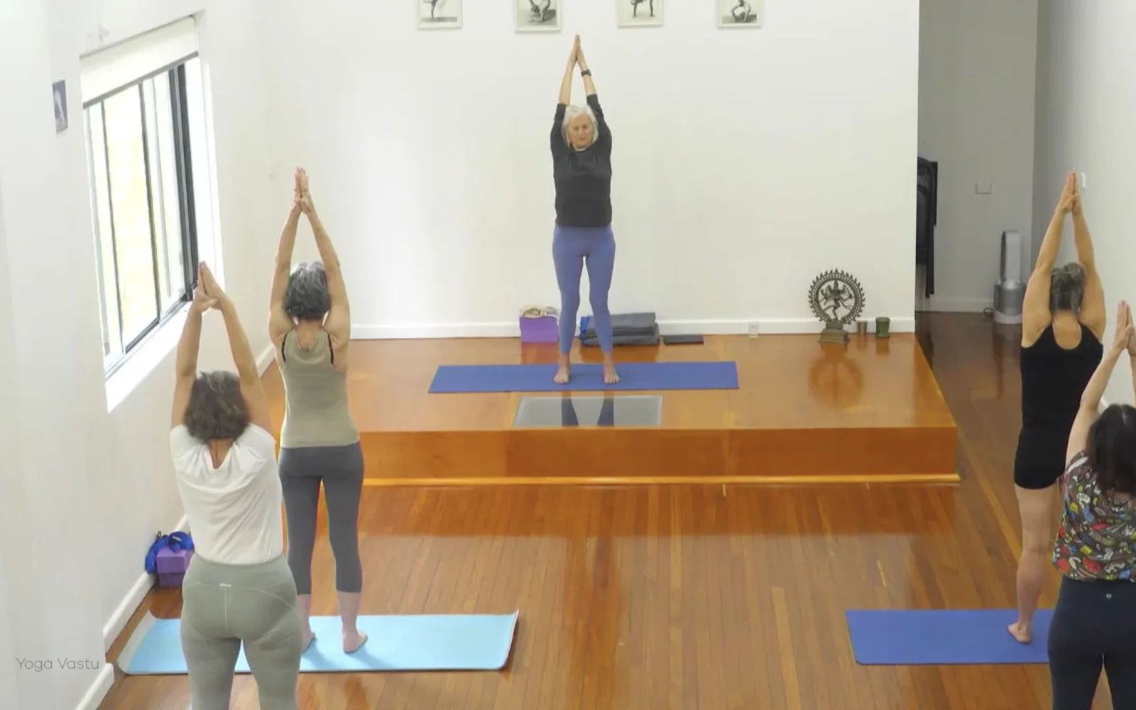 Online Iyengar yoga videos | Advanced Class 5: Practising Basic Actions in Standing Poses