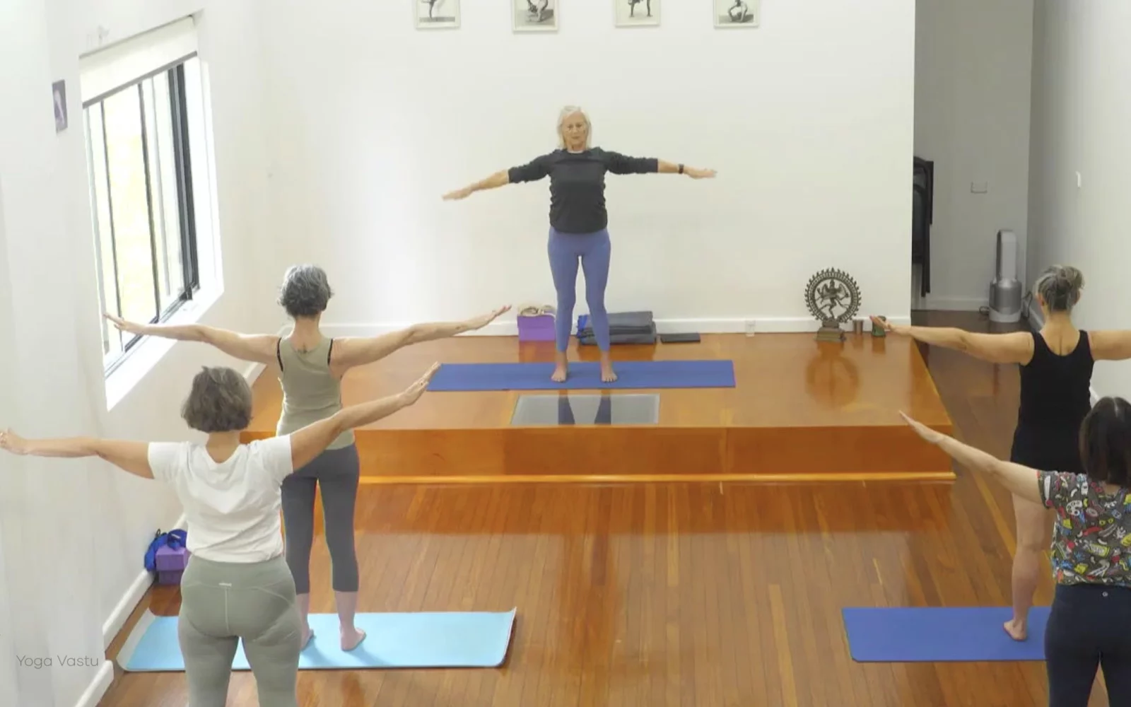 Online Iyengar yoga videos | Advanced Class 5: Practising Basic Actions in Standing Poses