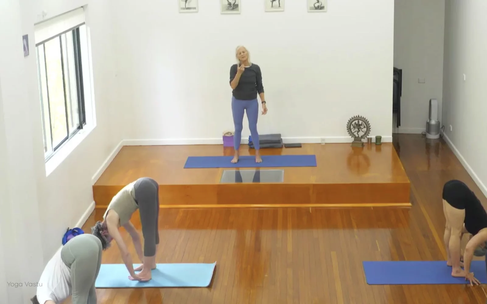 Online Iyengar yoga videos | Advanced Class 5: Practising Basic Actions in Standing Poses