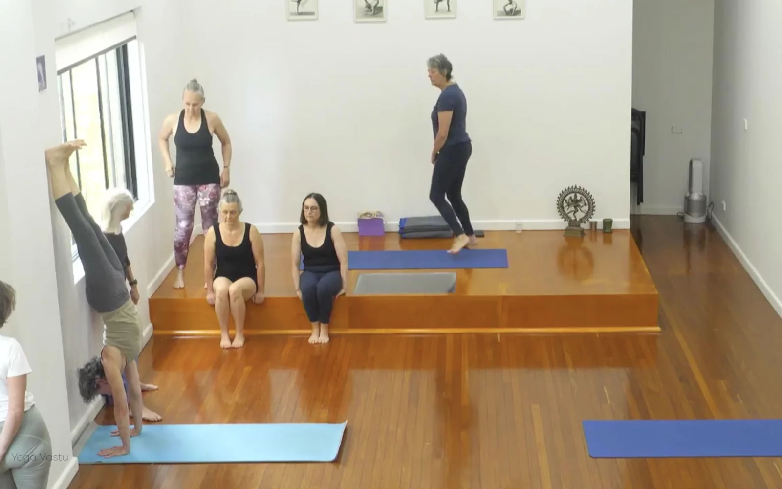 Online Iyengar yoga videos | Advanced Class 5: Practising Basic Actions in Standing Poses