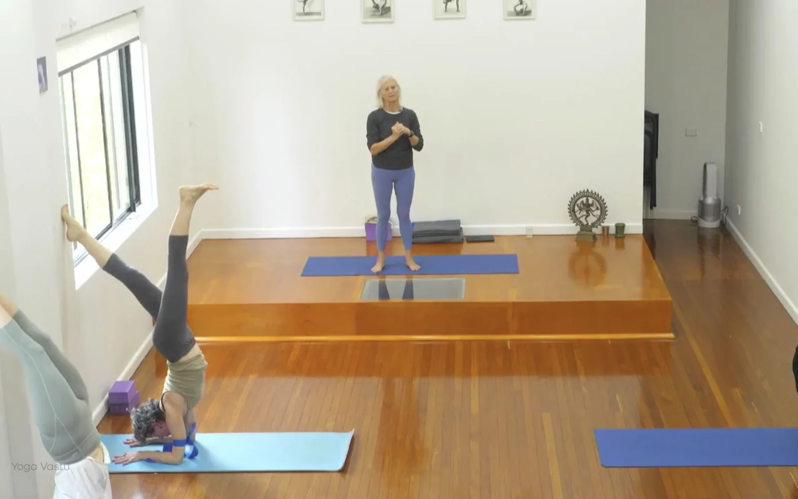 Online Iyengar yoga videos | Advanced Class 5: Practising Basic Actions in Standing Poses