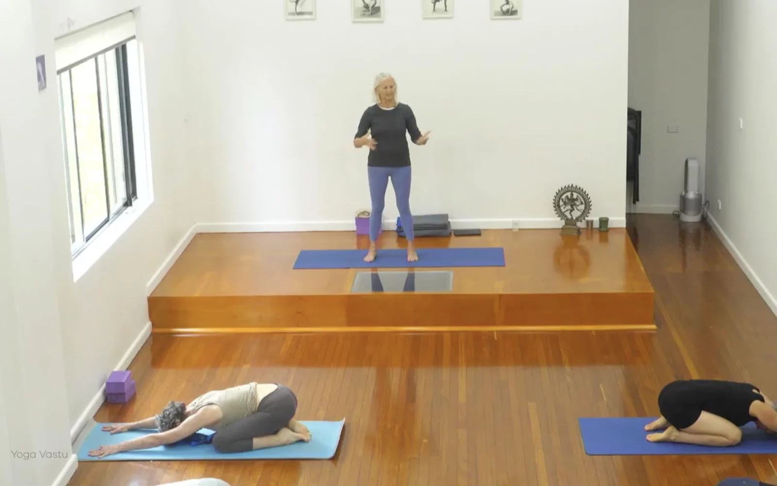 Online Iyengar yoga videos | Advanced Class 5: Practising Basic Actions in Standing Poses