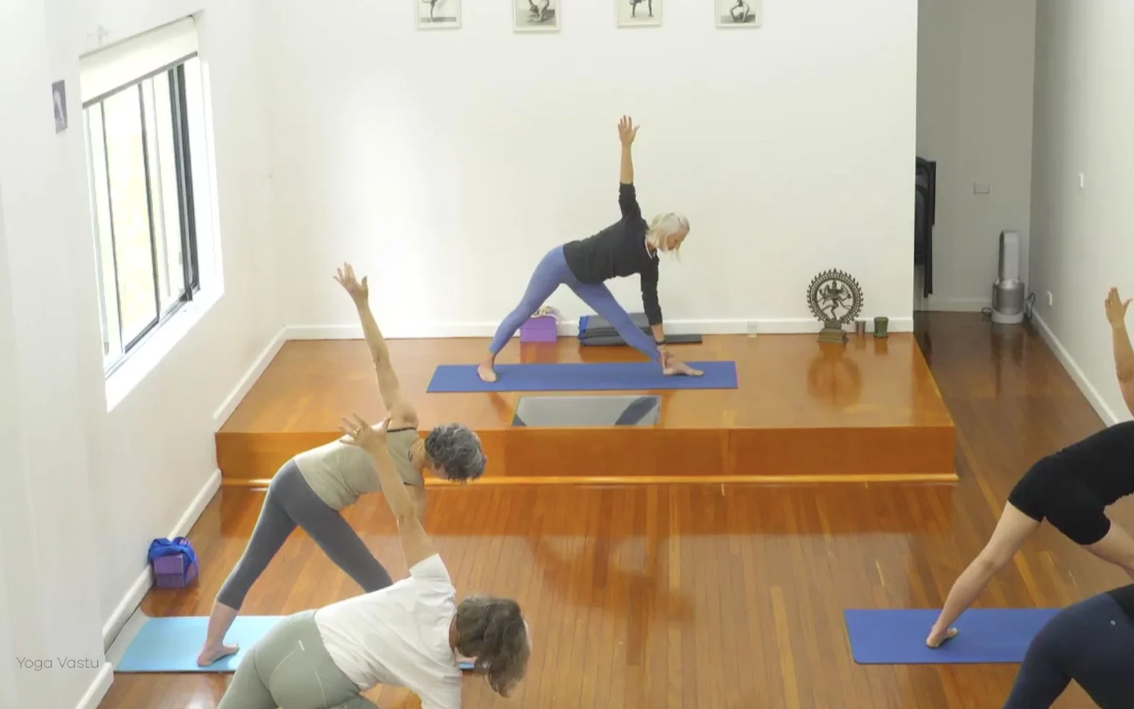Online Iyengar yoga videos | Advanced Class 5: Practising Basic Actions in Standing Poses