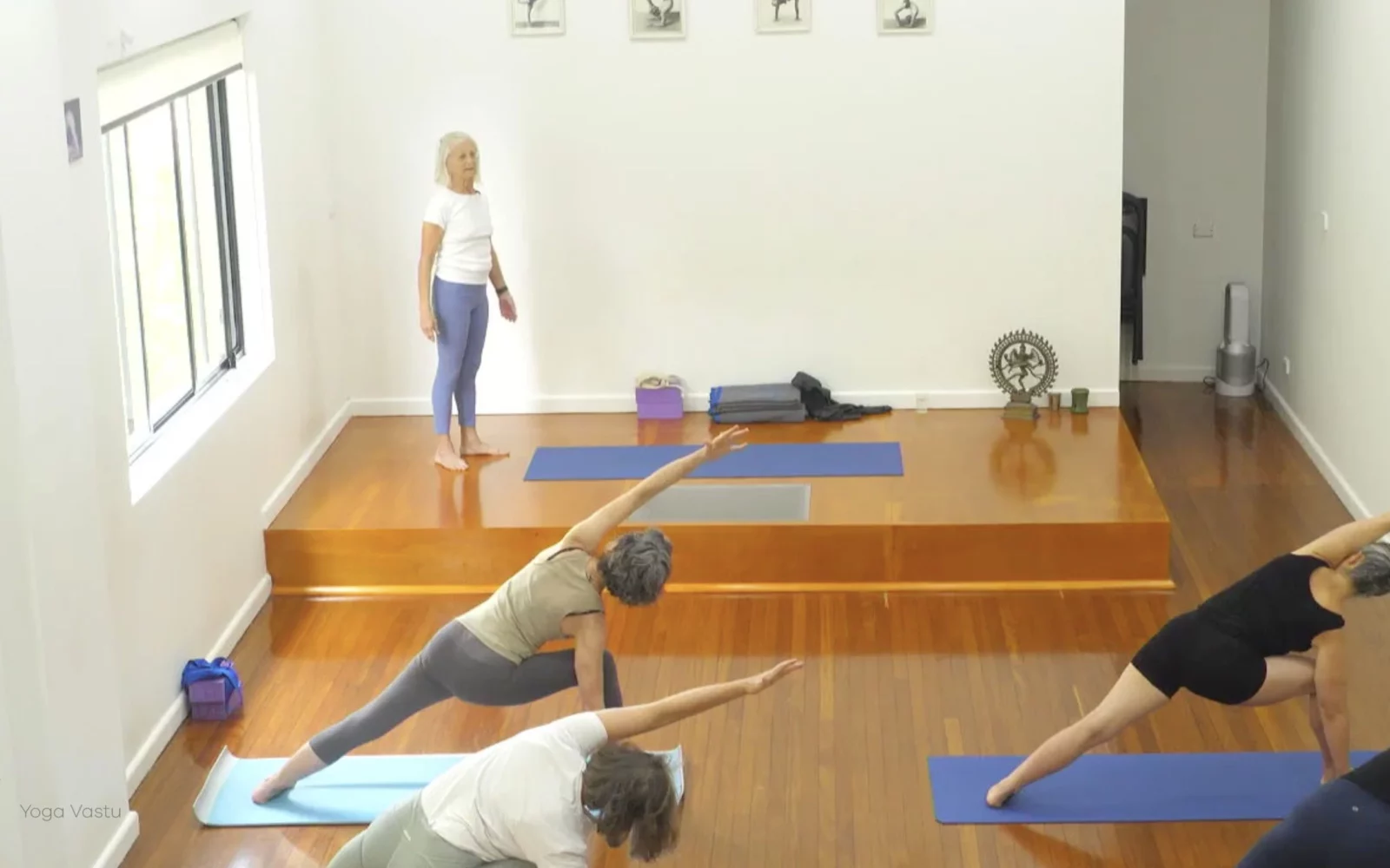 Online Iyengar yoga videos | Advanced Class 5: Practising Basic Actions in Standing Poses